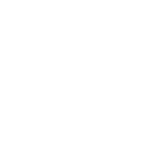 Maxx E